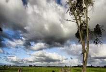 PG：欧国联CD级组：亚美尼亚以0比2 输给北马其顿.